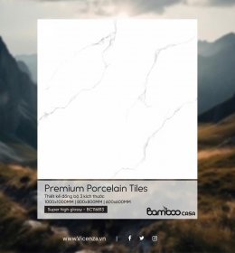 GẠCH LÁT NỀN 100100 - BC116813