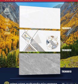 GẠCH ỐP TƯỜNG TR36881- GẠCH XƯƠNG ĐÁ 