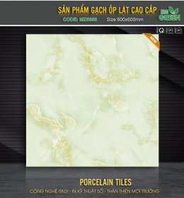 GẠCH LÓT NỀN MZ6555 (HÀNG SẴN KHO)