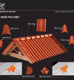 NGÓI TRÁNG MEN TTC