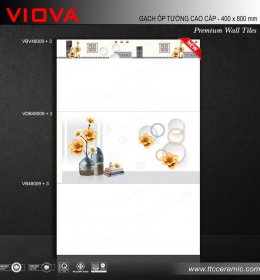 GẠCH ÔP TƯỜNG VB48009+3