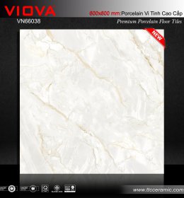 GẠCH LÁT NỀN VN66038 (HÀNG SẴN KHO)