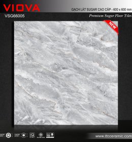 GẠCH LÓT NỀN VSG66005 (HÀNG SẴN KHO)