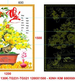 B10 (Gạch Tranh Kính)