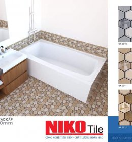 GẠCH 30* 30 NK 3009