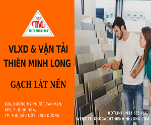 Phân Biệt Các Loại Gạch Lát Nền Phổ Biến Hiện Nay, Kinh Nghiệm Chọn Gạch Lát Nền Hoàn Hảo